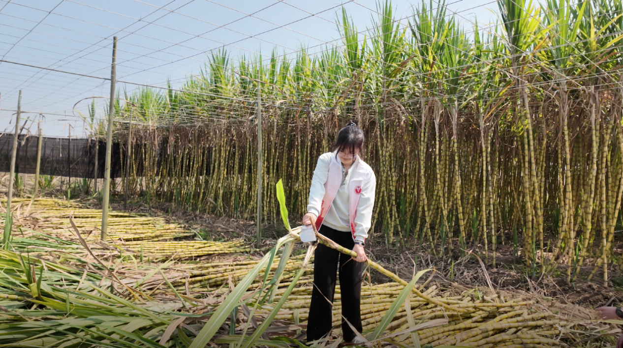 831c786133ed84a20186d9f9649fb213