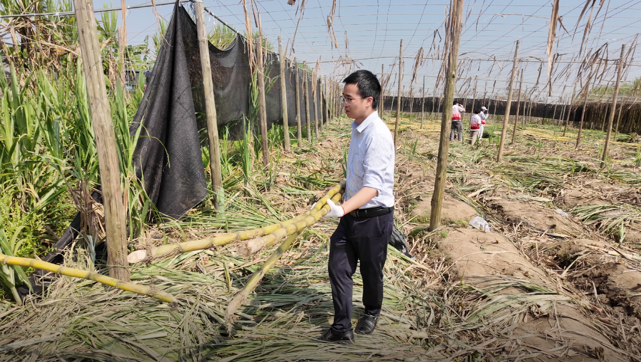 a180f0369227ea162c7e405ceb56084c