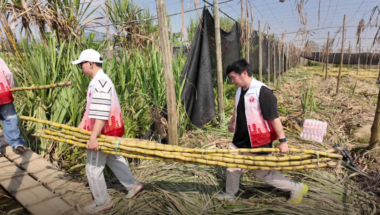 783476612b4fea4686fd1c6da0d42c2d