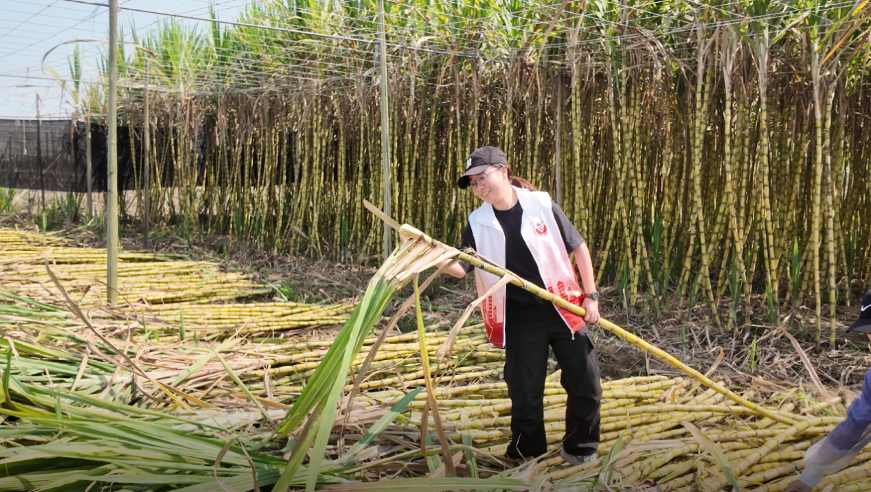 9a572e5e8f810de211de9ee083fee0de