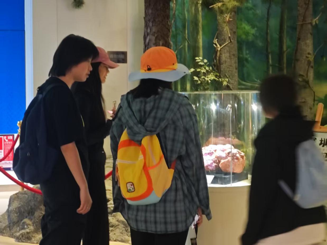 图示, 示意图

中度可信度描述已自动生成:ver1