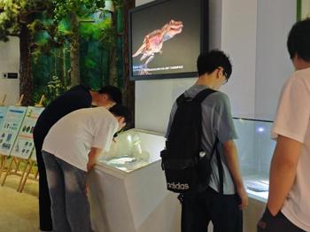 探索地质奥秘凝聚青春力量