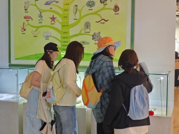 16ab442887a22a76b187531800e2c36