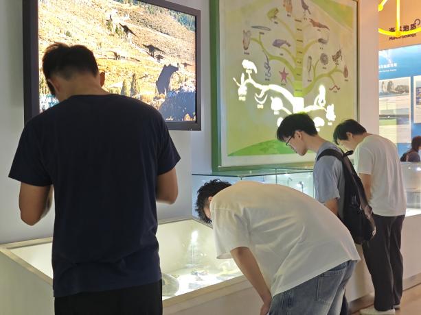 fcc233918cd2787e82f74e461d0f2a5