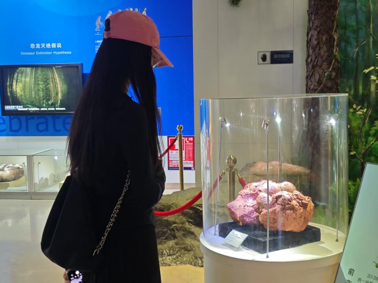 图示, 示意图

中度可信度描述已自动生成:ver1