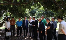 广州华立学院"荔枝产业四维一体立体种养模式"科技成果评价会成功举办