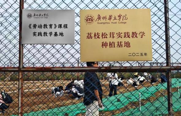 荔枝松茸实践教学种植基地启用——首场教学实践活动圆满举行