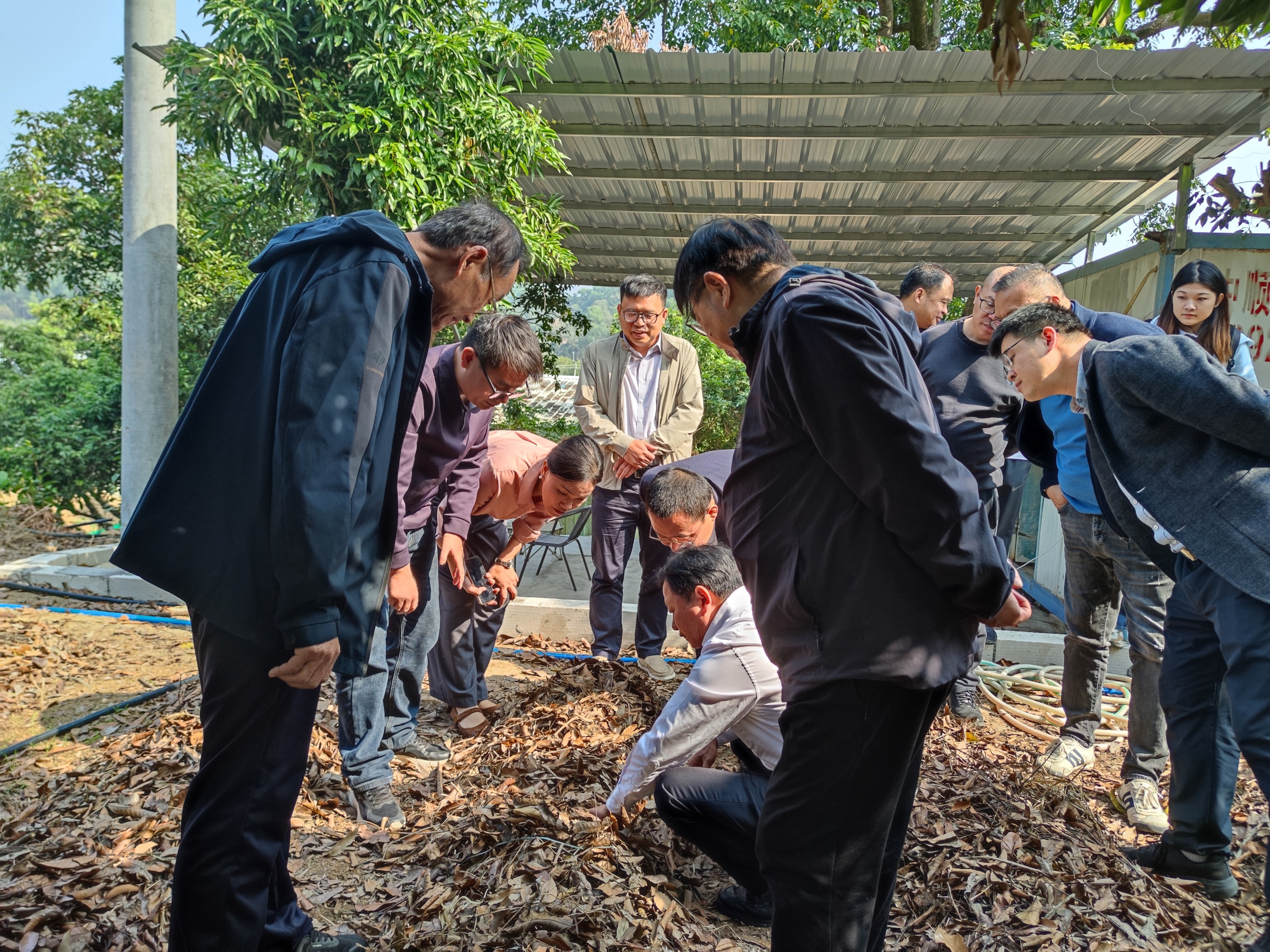 微信图片_20251224092917_337_58