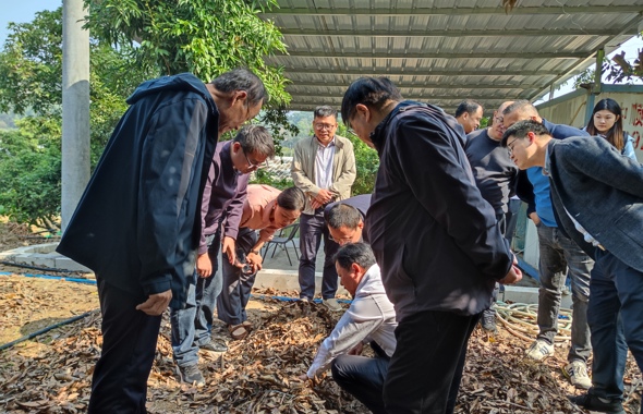 福建农林大学兰思仁校长一行考察我校荔枝四维一体技术增城基地