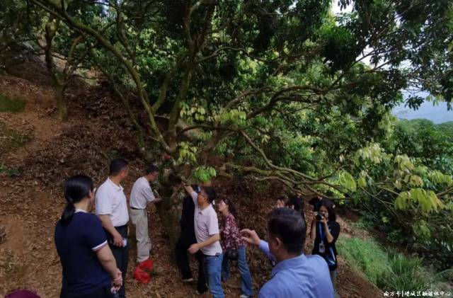 广州华立学院积极发动各专业师生参与示范基地建设