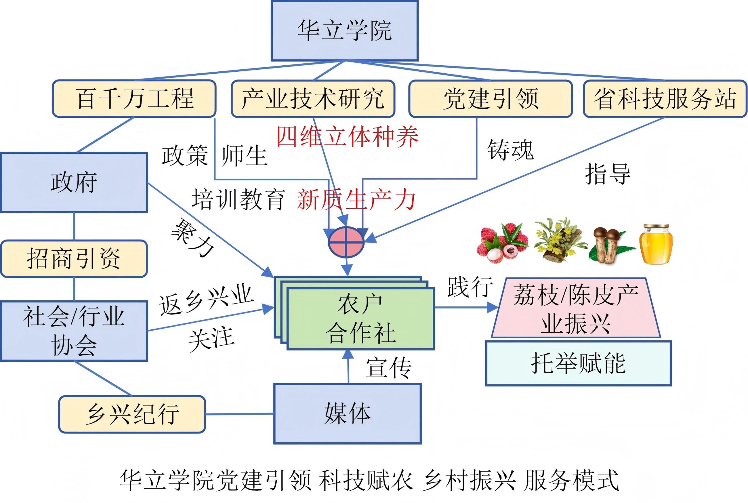 陈皮、荔枝