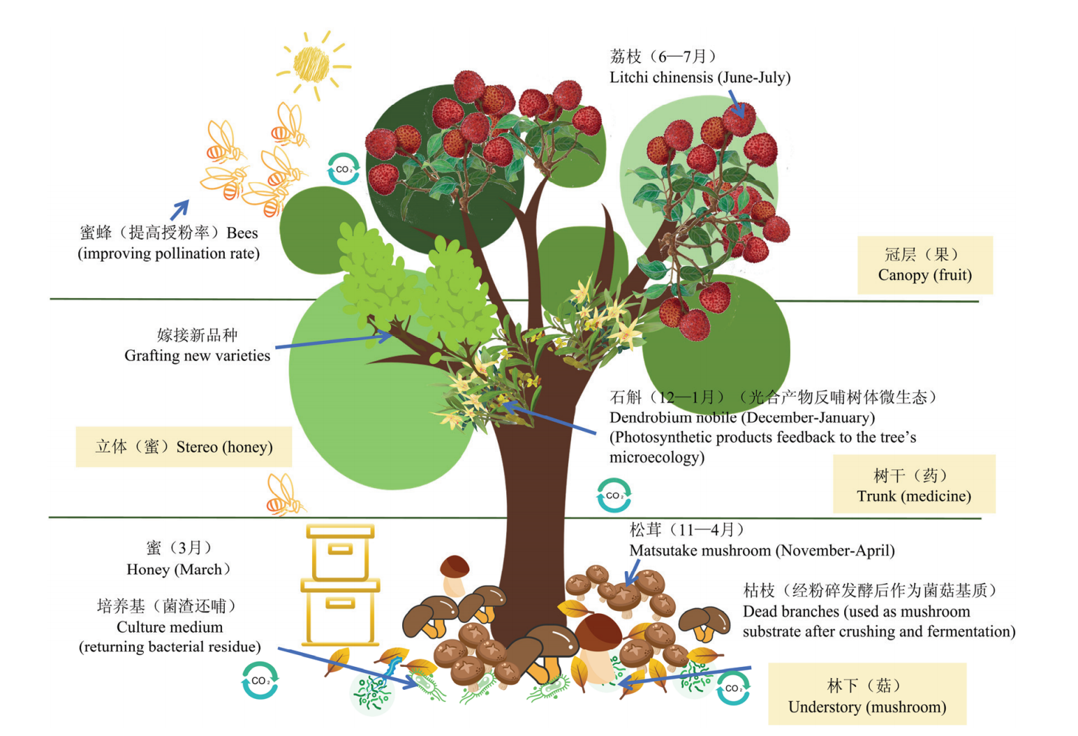 四维一体