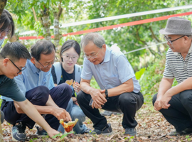 华立学院突破荔枝木赤灵芝培育技术，首创“五维一体”生态共生模式赋能乡村振兴