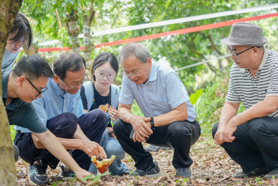 华立学院突破荔枝木赤灵芝培育技术，首创“五维一体”生态共生模式赋能乡村振兴