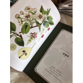 春光作序，万物和鸣