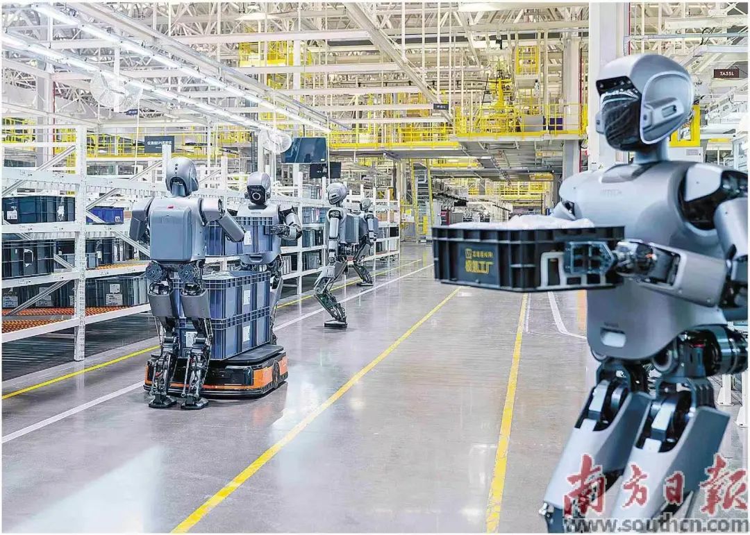 数十台优必选工业人形机器人Walker S1在工厂进行协同搬运大尺寸料箱。南方日报记者 朱洪波 通讯员 罗艳 摄