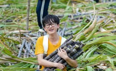 砍甘蔗，拼了！华立人都在“砍一刀”，就差你了！