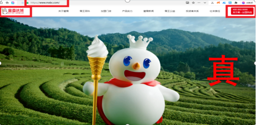 1784610077714987.png