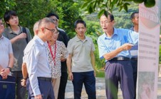 【中国日报网】“树上收柑、树下采菇、菌渣养树”——广州华立学院探索陈皮红松茸绿色循环模式