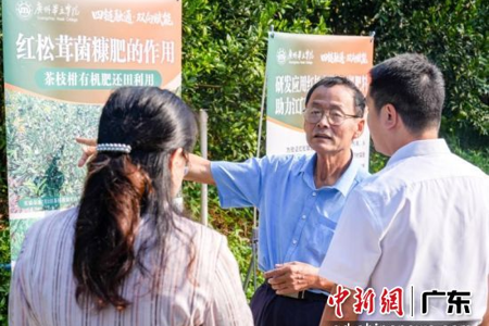 【中国新闻网】广州华立学院探索陈皮红松茸绿色循环模式