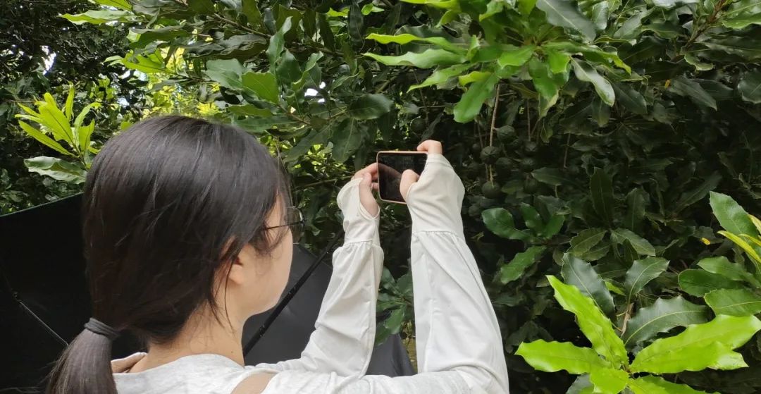 cf6c29732e8b37df42030621f205876b207e9898