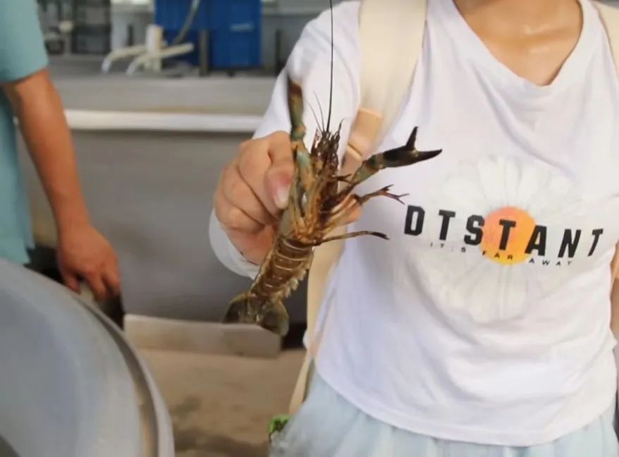 3b3e8543fb06db591738a3eeda83e6f78bd62fb3