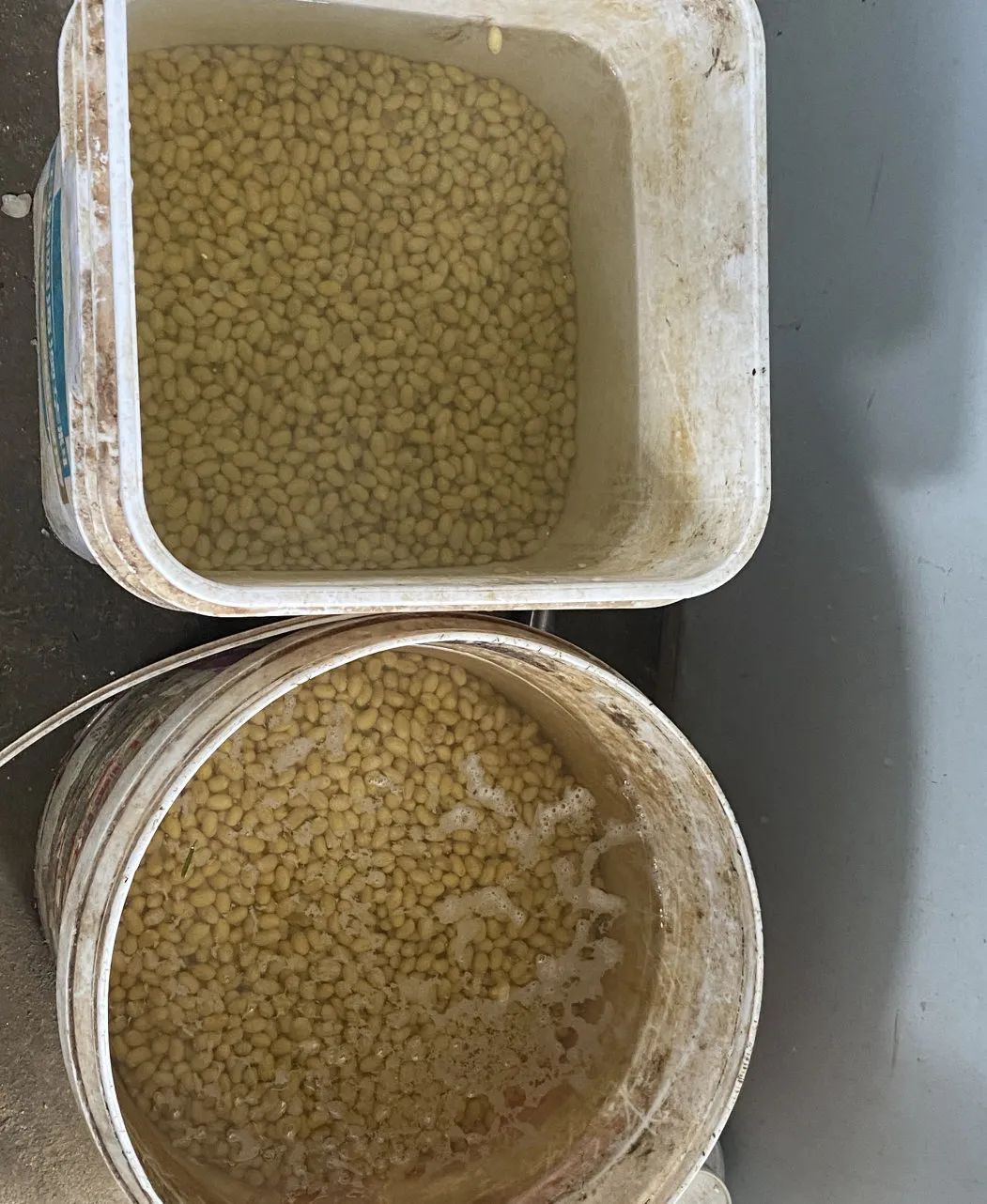 85cf9266eefe85f5557ab49ca02716e49b1f9e6e