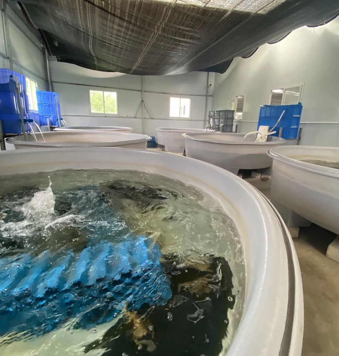 61984b68b6c1e727f04cd68f761dfa9babb9569c