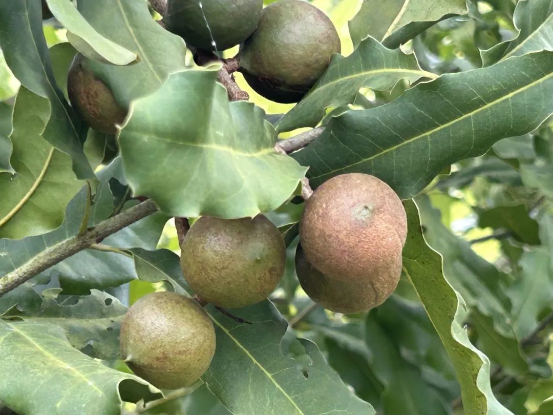 51718f0ca7d16c891fe18a8da80ac74992ecb538