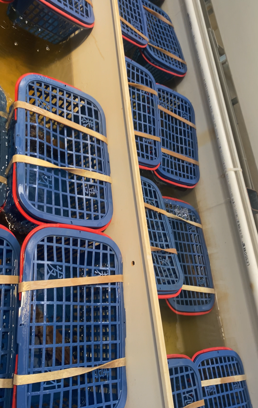 1e95b6c590439a01a594e14e5b442004fca7808c