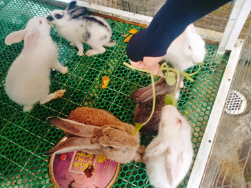 87910c19cb9e23e3fbe324f19b4eea2313bad1e3