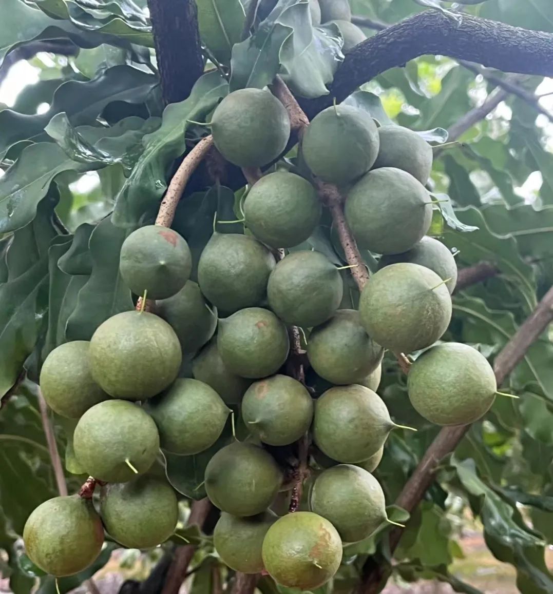 c72a4c6914779dca976ac6093f55fbda1de7f3ee