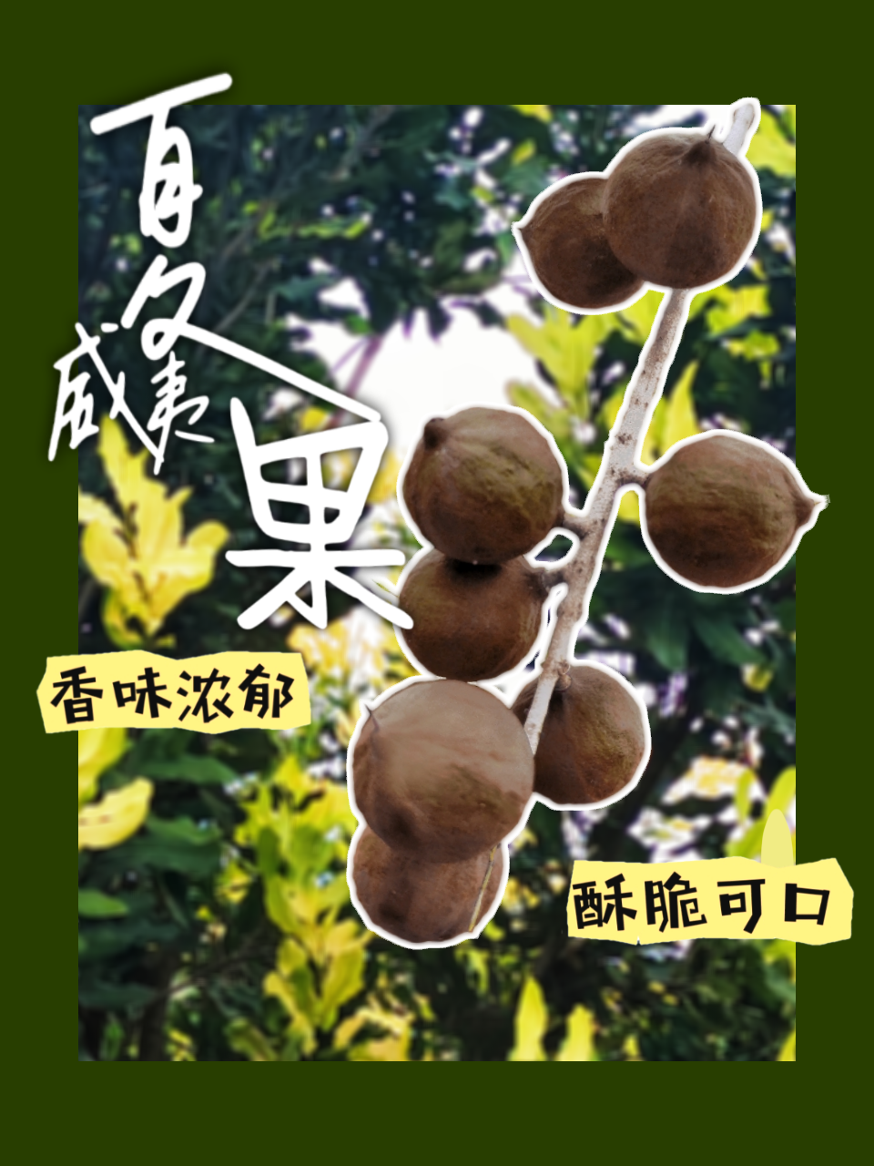 e64fbee398f5f1c2ff09a031ab8735d9d2dcdd6b