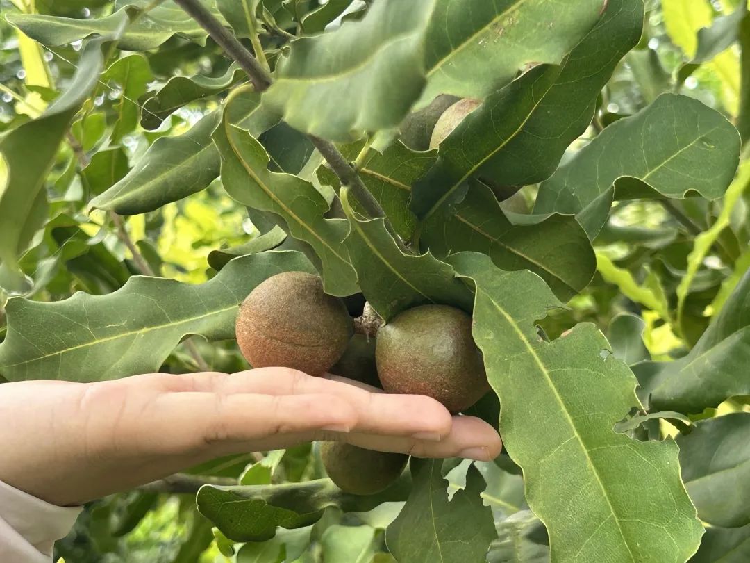 8c293da2c647d7683ffd97aad890d361b31e08bf