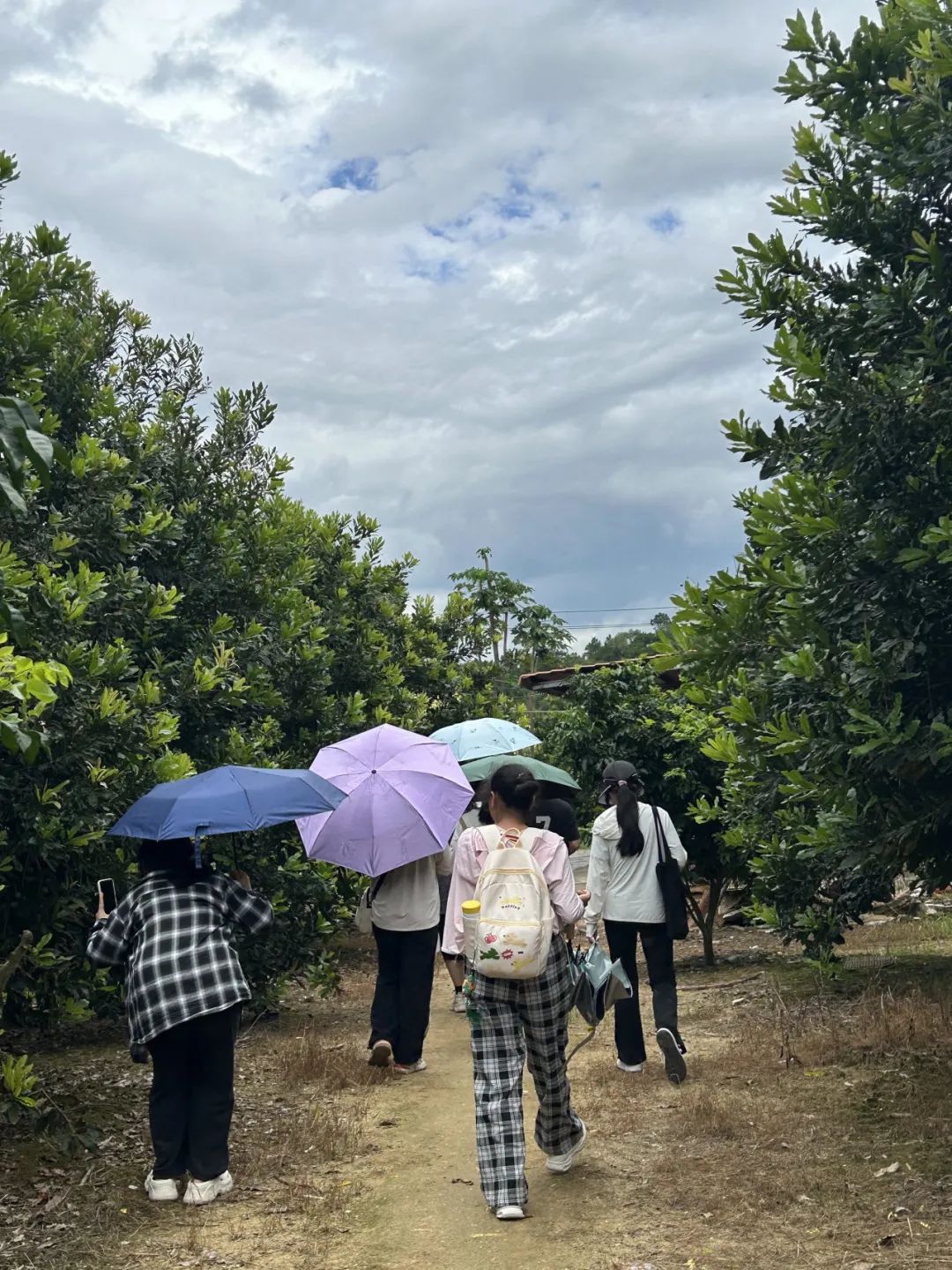 ca7a0ab9b5d8218de78e02c0aff008d6819e54d7