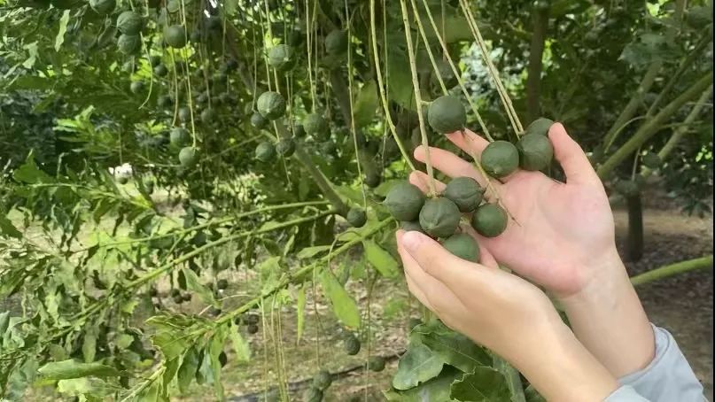 0dcc5a659942f95982ba6e59320834b68dd63f38