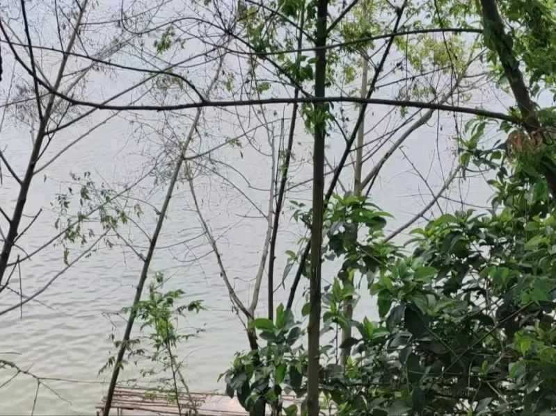 39b49e6dbf8c7ccbc295a992db9e6dbcb4130ed8