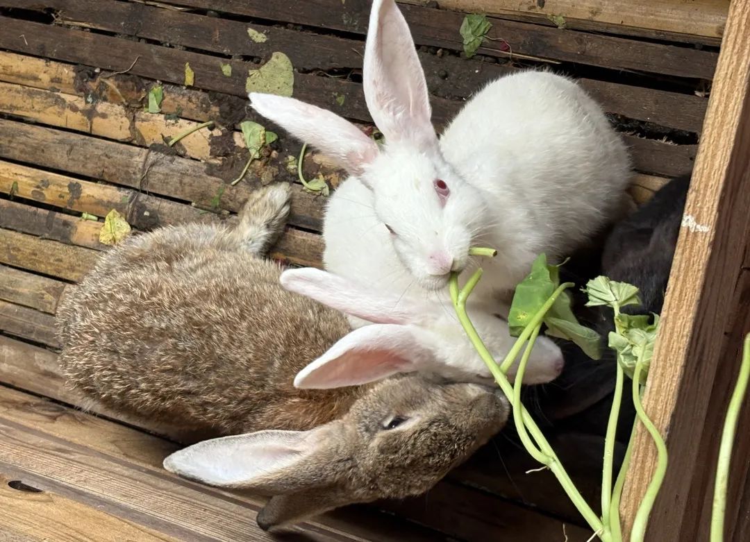 0207a59333c053034aaeb5937f5c6852baec702f