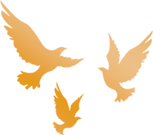 cb2c0dc779a3304772d5df90fa962072c51757b4