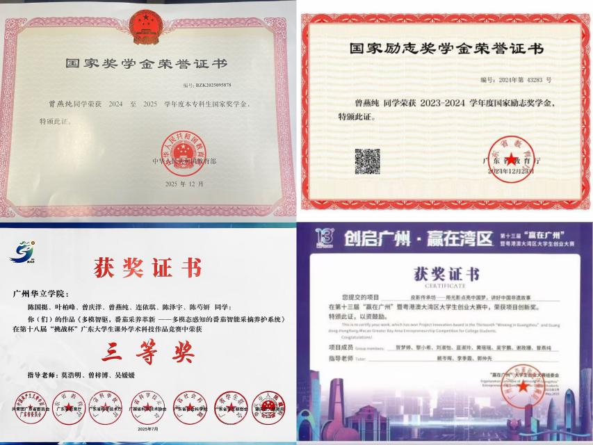 获奖证明