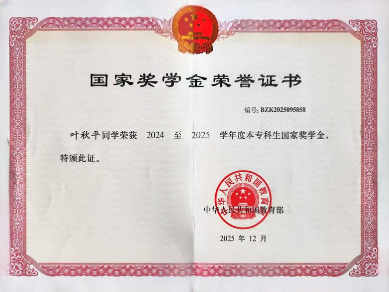 奖状-国家奖学金荣誉证书