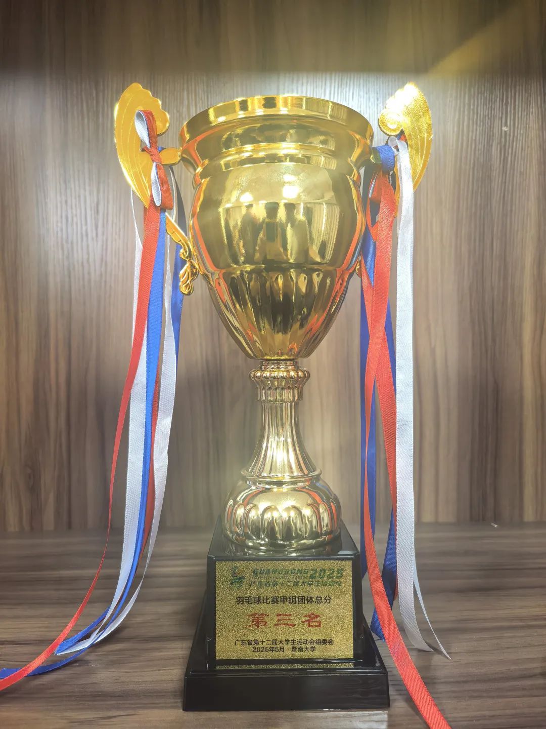 甲组团体总分第三名奖杯