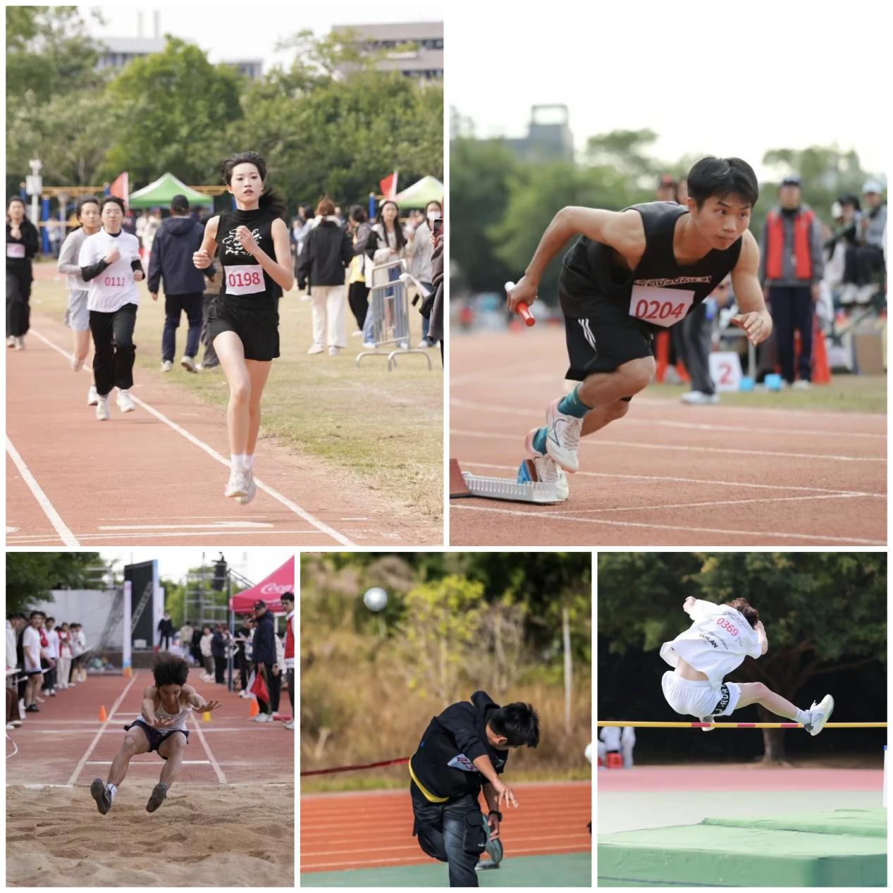 55e346784e88feb24553095c824e34c