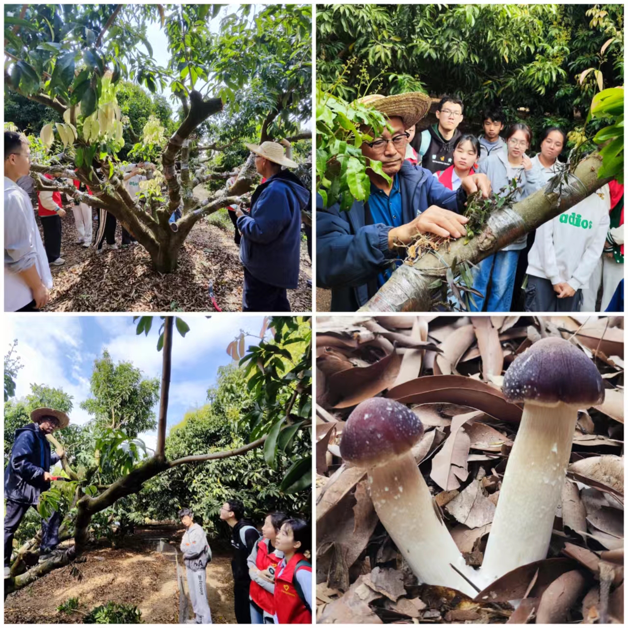 e48c7432abb3a1e942091afca2d176f