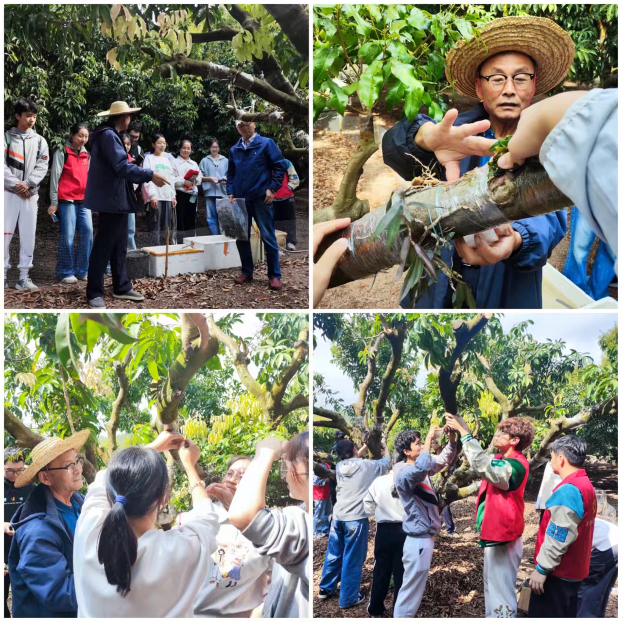 2fd7fc6e5962ea8a2e68a8a09dc74c7