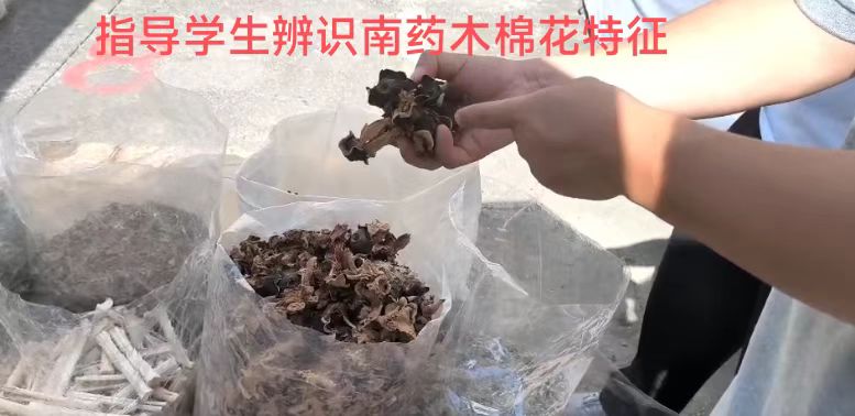 f350ed0be5f24ecac10fac0ab916b11